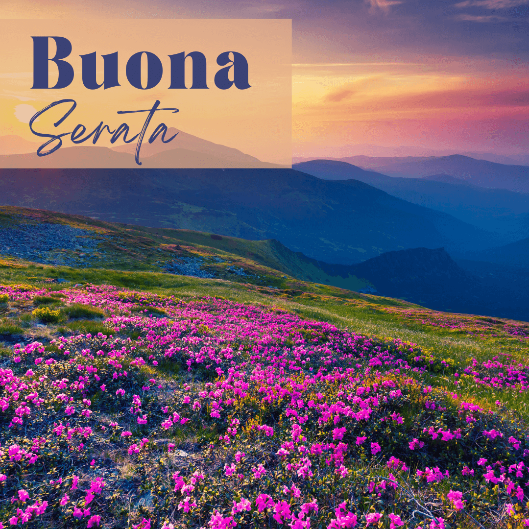 Buona Serata Con Fiori Immagini Buona Serata Con Fiori Immagini