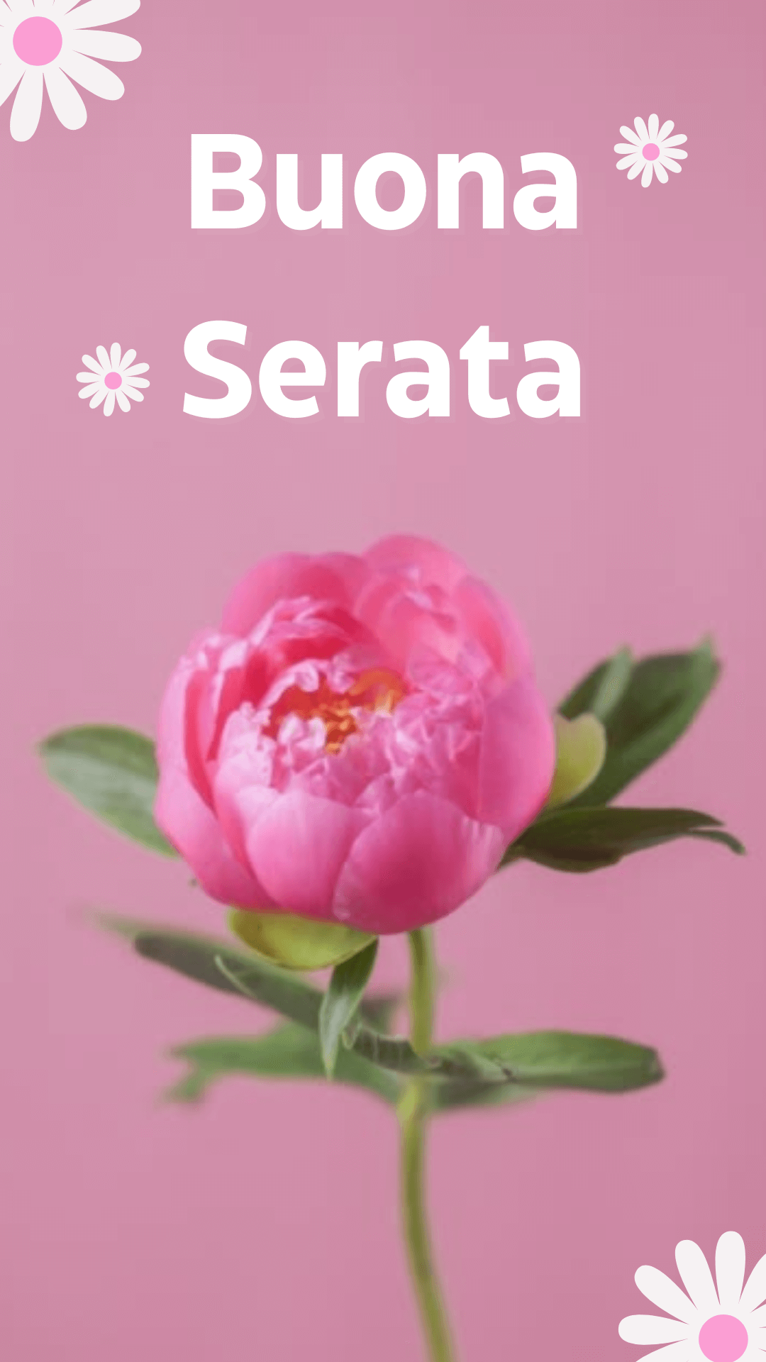 Buona Serata Con Fiori Immagini Buona Serata Con Fiori Immagini
