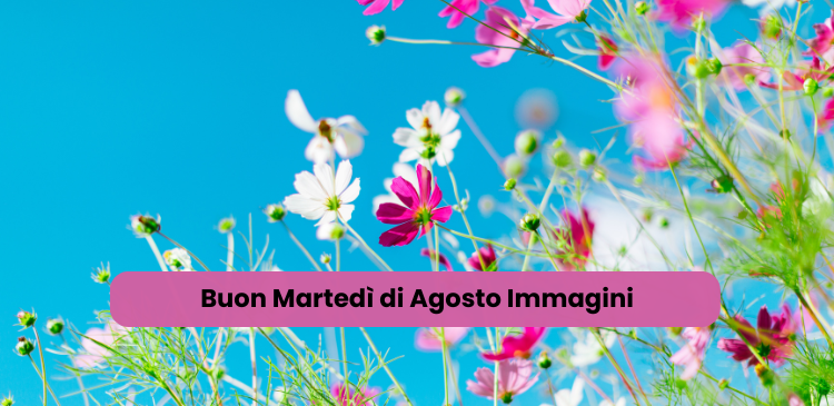 Buon Martedì di Agosto Immagini