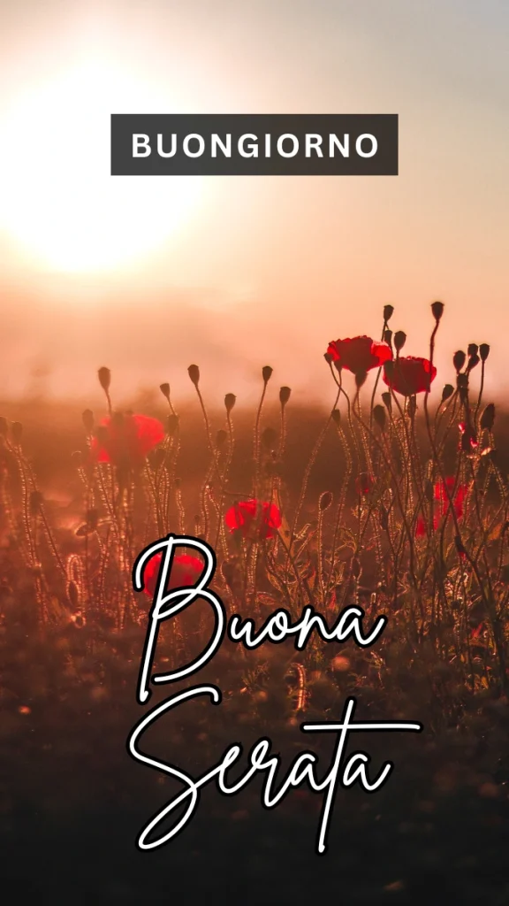 buonaserata fiori