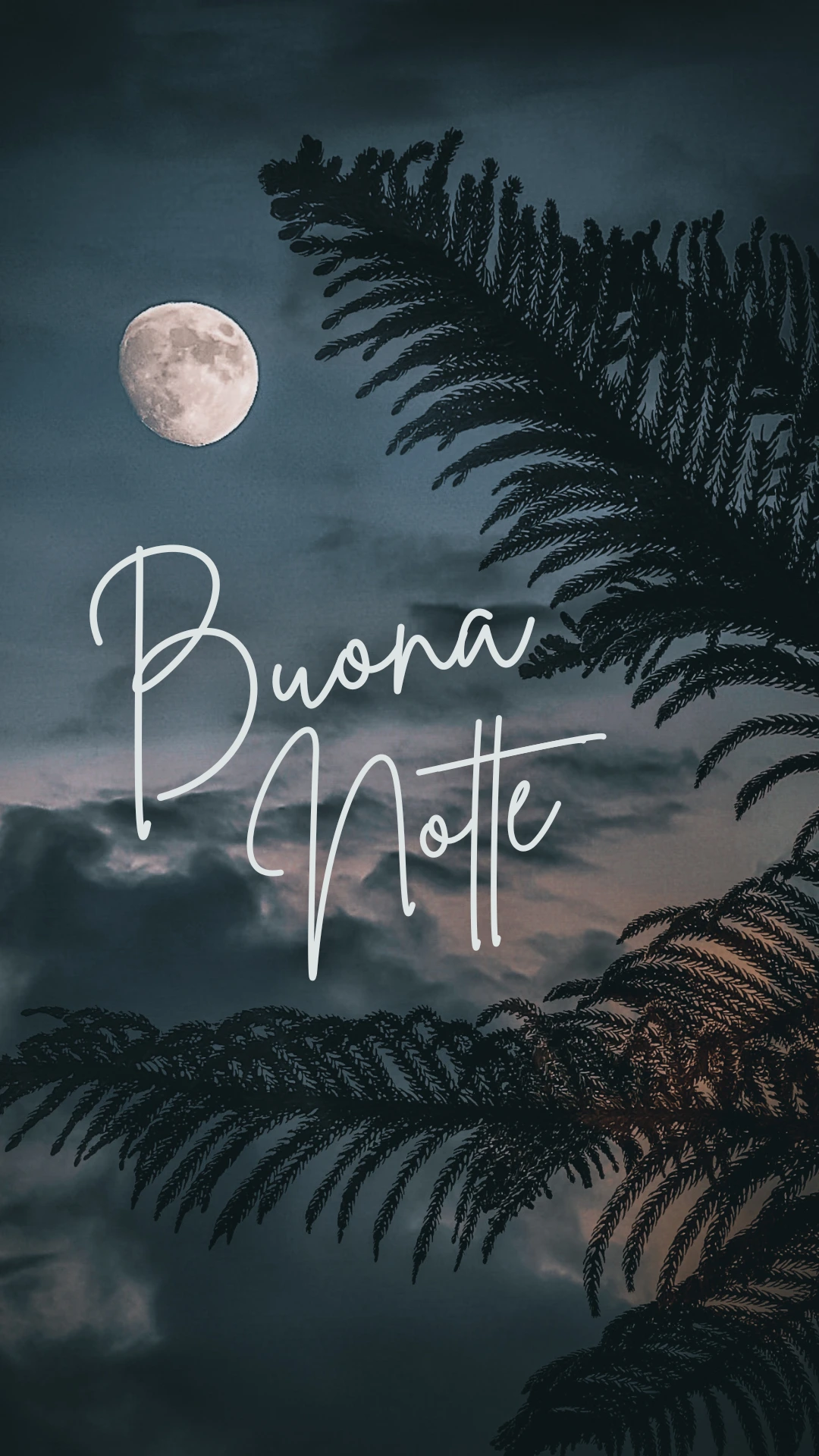 buonanotte
