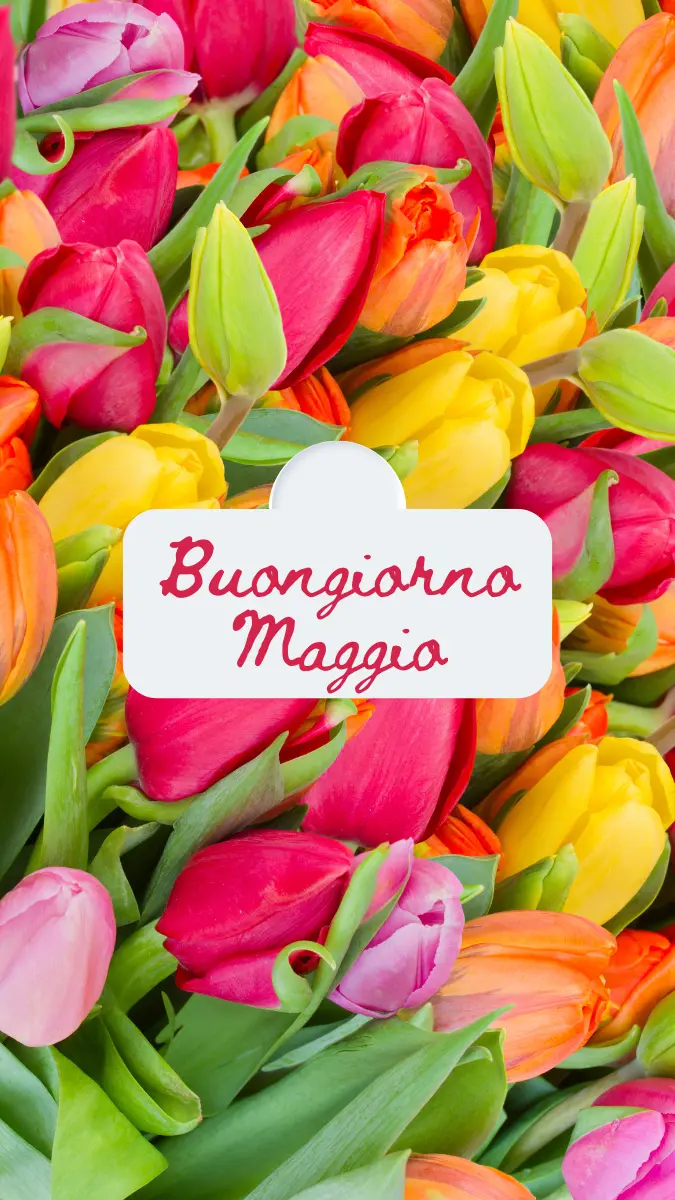 Buon 15 maggio buongiorno