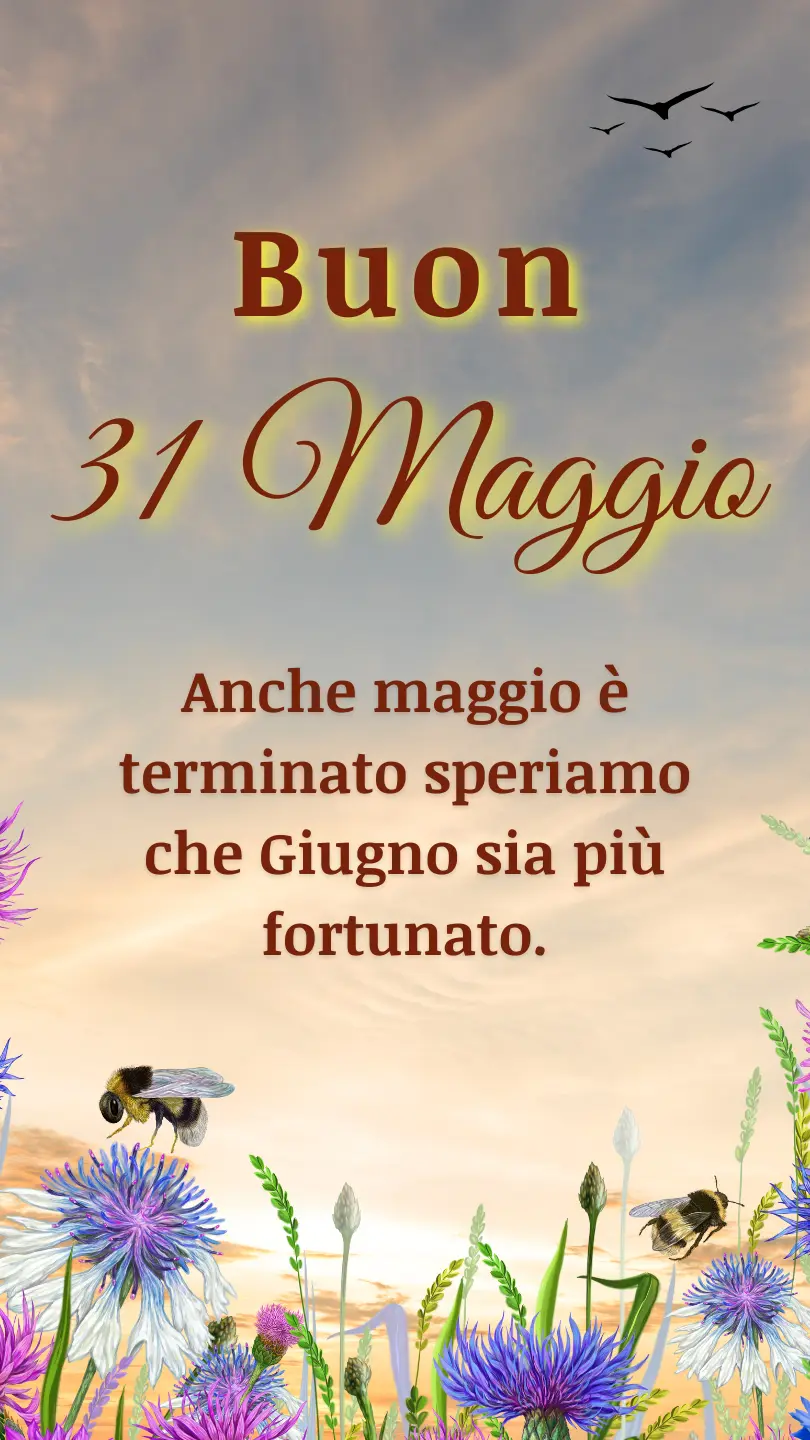 buongiorno 31 maggio