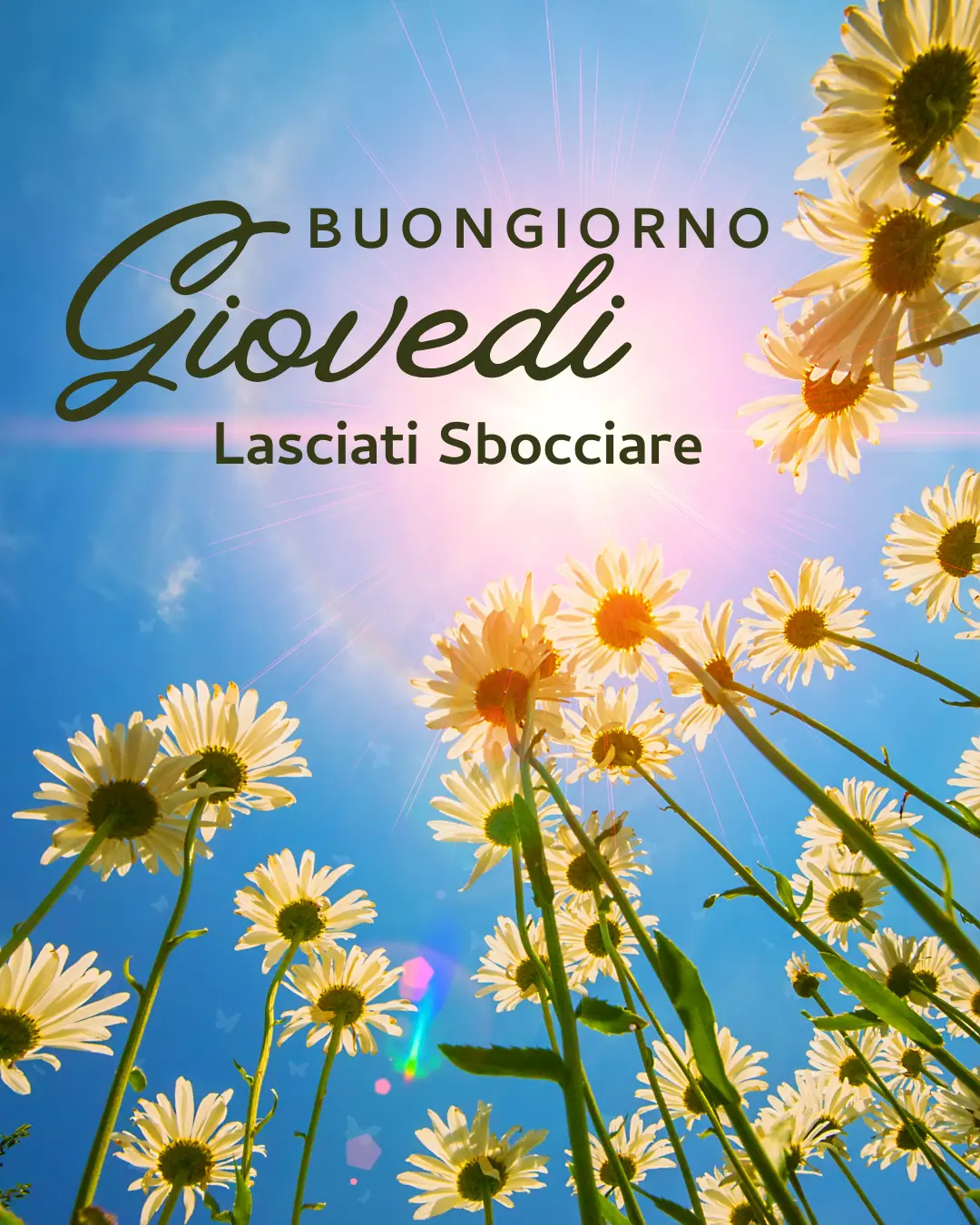 buon giovedi immagini