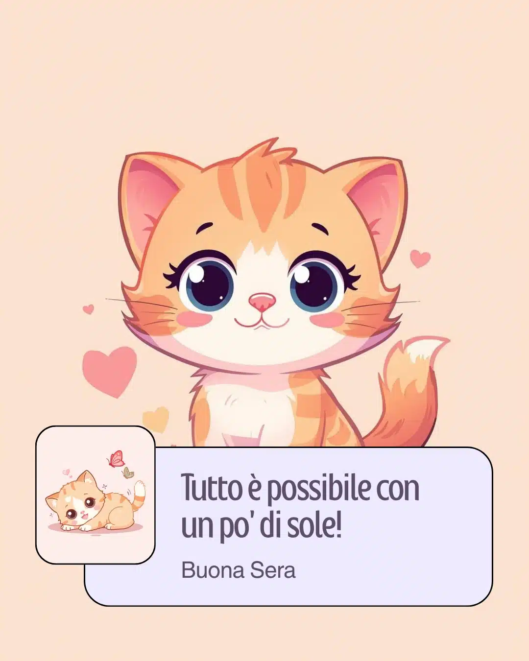 buona sera gatto